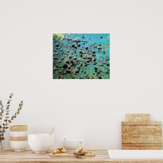 Econfina Creek Tadpol Poster (Küche)