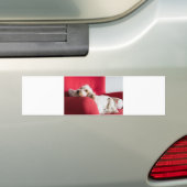 ECSorange-weiße Schüttelfrost Autoaufkleber (Auf Auto)