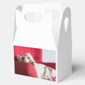 ECSorange-weiße Schüttelfrost Geschenkschachtel (Geöffnet)