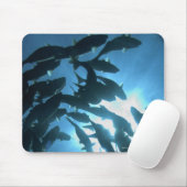 Ecuador, Galapagos-Archipel, Wolf-Insel, Mousepad (Mit Mouse)