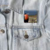 Ecuador, Galapagos, Genovesa-Insel. Prinz Button (Beispiel)