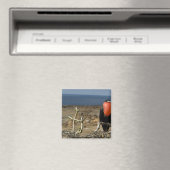 Ecuador, Galapagos, Insel Genua. Prince Magnet (In Situ (Geschirrspüler))