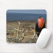 Ecuador, Galapagos, Insel Genua. Prince Mousepad (Mit Mouse)