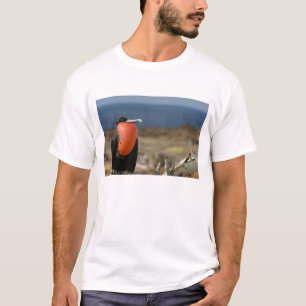 Ecuador, Galapagos, Insel Genua. Prince T-Shirt