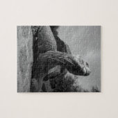 Ecuador, Galapagos Islands National Park, Santa Puzzle (Horizontal)