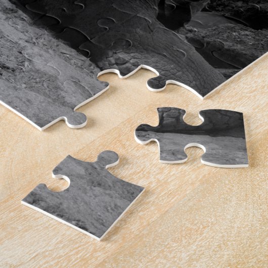 Ecuador, Galapagos Islands National Park, Santa Puzzle (Seite)