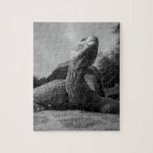 Ecuador, Galapagos Islands National Park, Santa Puzzle (Vertikal)