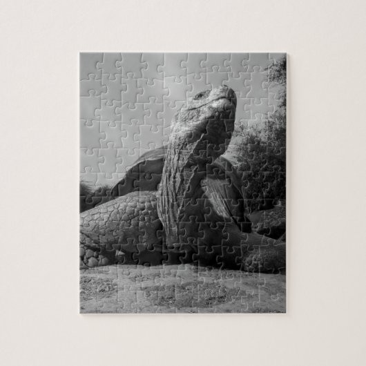 Ecuador, Galapagos Islands National Park, Santa Puzzle (Vertikal)