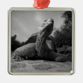 Ecuador, Galapagos Islands National Park, Santa Silbernes Ornament (Vorne)