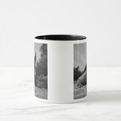 Ecuador, Galapagos Islands National Park, Santa Tasse (Zentrum)