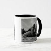 Ecuador, Galapagos Islands National Park, Santa Tasse (VorderseiteRechts)