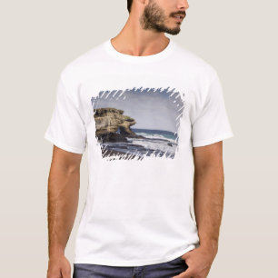 Ecuador, Galapagos, Santiago (auch bekannt als Jam T-Shirt