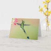 Ecuador Hummingbird mit langen Schwanz Federn Karte (Gelbe Blume)