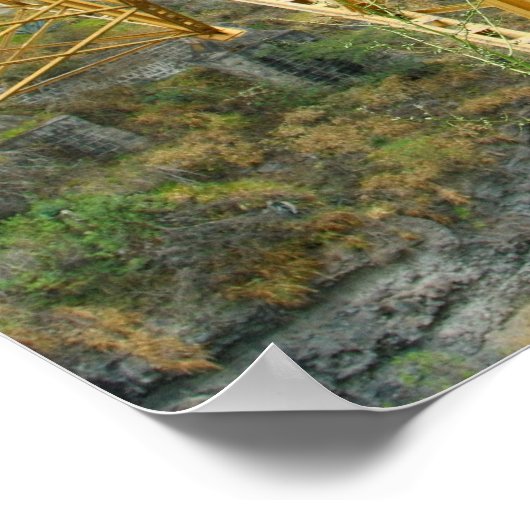 Ecuador Poster (Ecke)