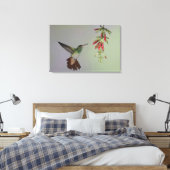 Ecuador, Tandayapa Bird Lodge rufous-tails Leinwanddruck (Insitu (Schlafzimmer))