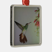 Ecuador, Tandayapa Bird Lodge rufous-tails Ornament Aus Metall (Rechts)