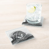 Ecuadorian Hermit Crab C. Compressus Untersetzer (Schrägansicht)