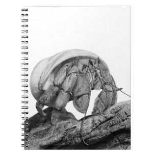 Ecuadorian Hermit Crab Coenobita Compressus Art Notizblock