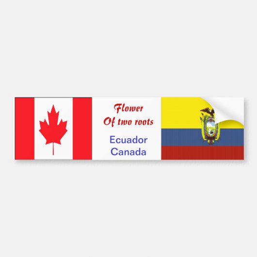 ecuaradorianisch-kanadische Autoaufkleber (Vorne)
