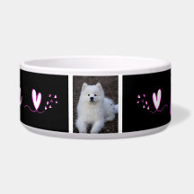 Ecuelle, Hundehütte, Katze, Tier von c