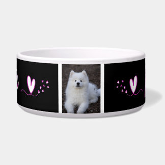 Ecuelle, Hundehütte, Katze, Tier von c Napf