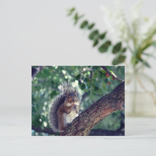 Écureuil Postkarte (Stehend Vorderseite)