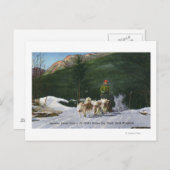 Ed Clarks Eskimo Dog Ranch, Dogsleding Postkarte (Vorne/Hinten)