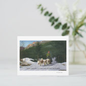 Ed Clarks Eskimo Dog Ranch, Dogsleding Postkarte (Stehend Vorderseite)