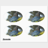 Ed Sutton - Steller Jay Ovaler Aufkleber (Blatt)