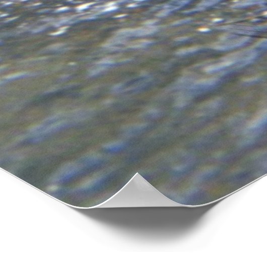 Ed und Lachs Poster (Ecke)