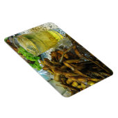 Edamame Thai Style Magnet (Rechte Seite)