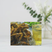 Edamame Thai Style Postkarte (Stehend Vorderseite)