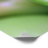 Edamames Poster (Ecke)