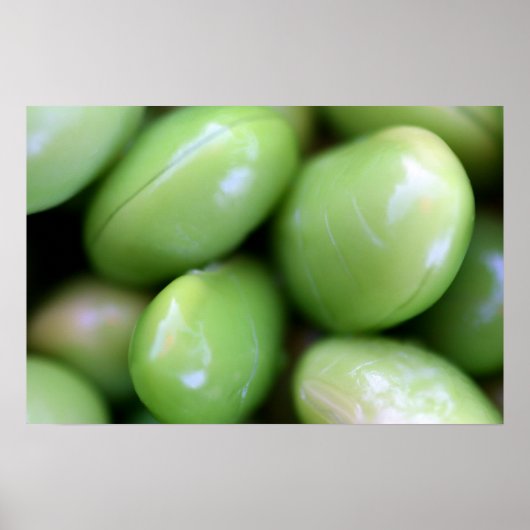 Edamames Poster (Vorne)