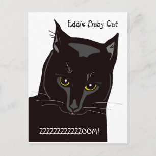 Eddie Baby Cat Postcard Postkarte