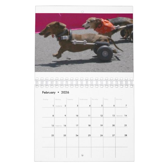 Eddie Räder 2016 Kalender (Feb 2026)