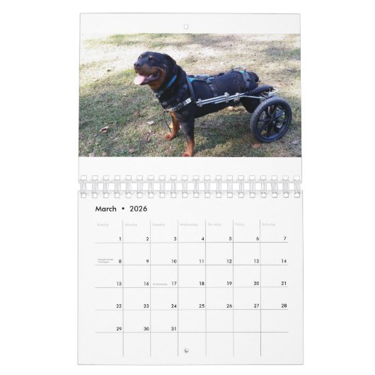 Eddie Räder 2016 Kalender (Mär 2026)