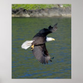 EDELFLUG POSTER (Vorne)