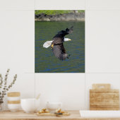 EDELFLUG POSTER (Küche)