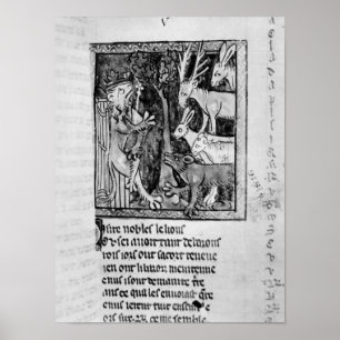 Edelholz, Abbildung "Roman de Renart" Poster