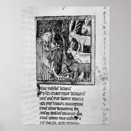 Edelholz, Abbildung "Roman de Renart" Poster (Vorne)