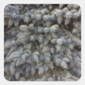 Edelstahl, grau, grün und blau, klassisch quadratischer aufkleber (Vorderseite)