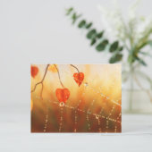 Edelsteine einer Herbstvormittkarte Postkarte (Stehend Vorderseite)