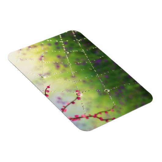 Edelsteine eines flexiblen Magazins am Frühlingsvo Magnet (Rechte Seite)