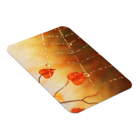 Edelsteine eines flexiblen Magazins Magnet (Rechte Seite)