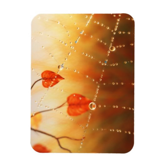 Edelsteine eines flexiblen Magazins Magnet (Vertikal)