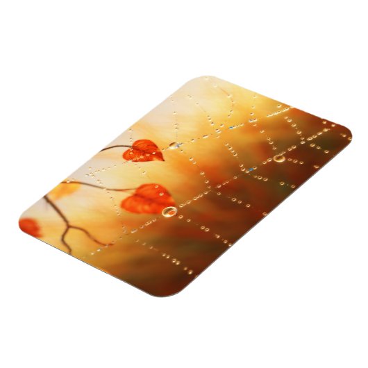 Edelsteine eines flexiblen Magazins Magnet (Linke Seite)