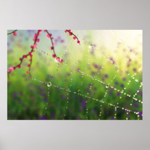 Edelsteine eines Frühjahrsdrucks Poster