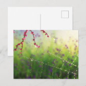 Edelsteine eines Frühlingsvormittags Postkarte (Vorne/Hinten)