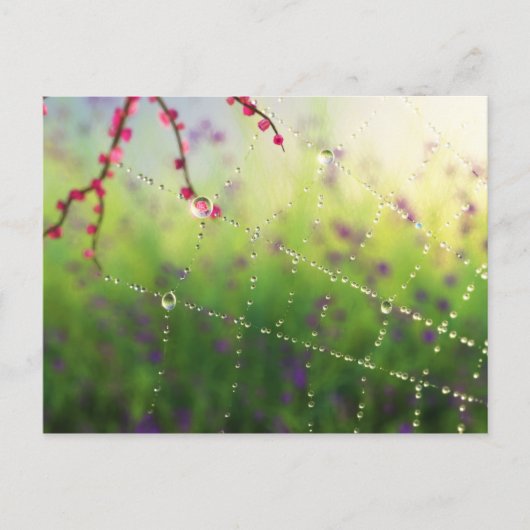Edelsteine eines Frühlingsvormittags Postkarte (Vorderseite)
